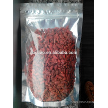 Ningxia Goji Berry Haute qualité Wolfberry poudre